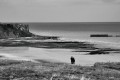 Falaise Normande